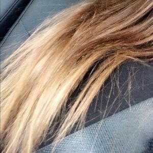 Meet your Posher, Lola